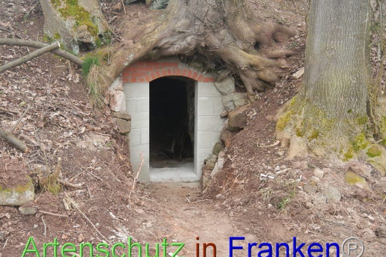 fledermauskeller