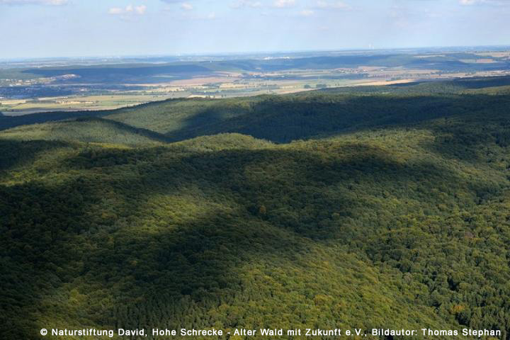 hoheschrecke2