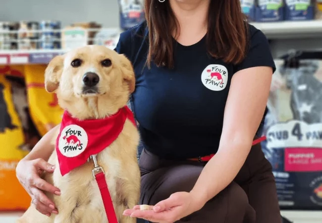 Streunerin Alisa – Vier-Pfoten