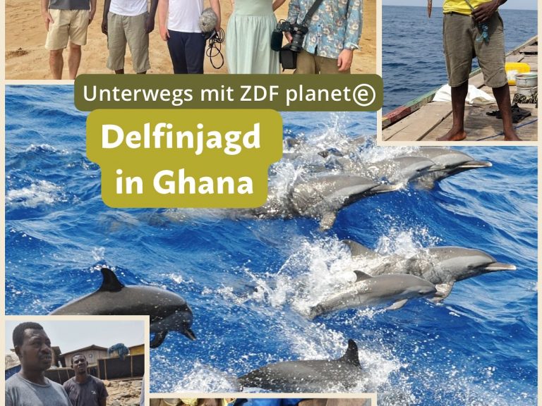 Delfinjagd Ghana