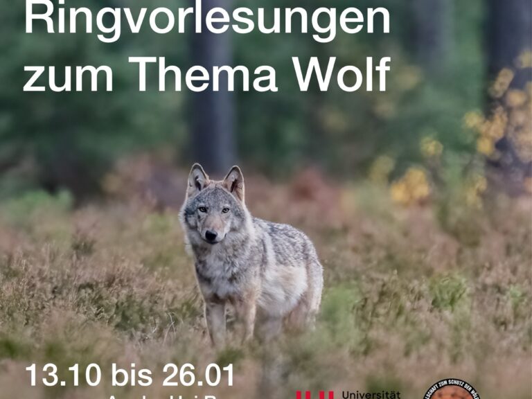 ringvorlesung-wolf-2026_2_foto-steffen-heiber